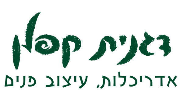 דגנית קפלן